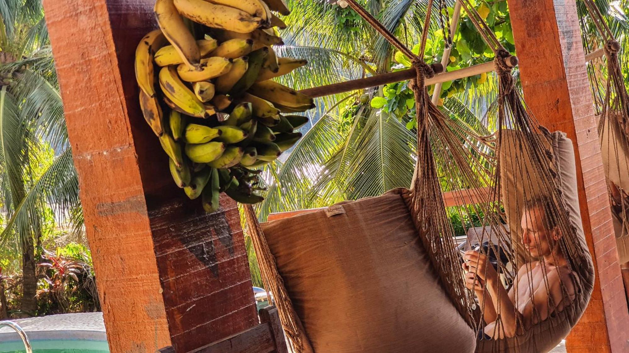 Lobo Hostel - Rurrenabaque (Adults Only) المظهر الخارجي الصورة