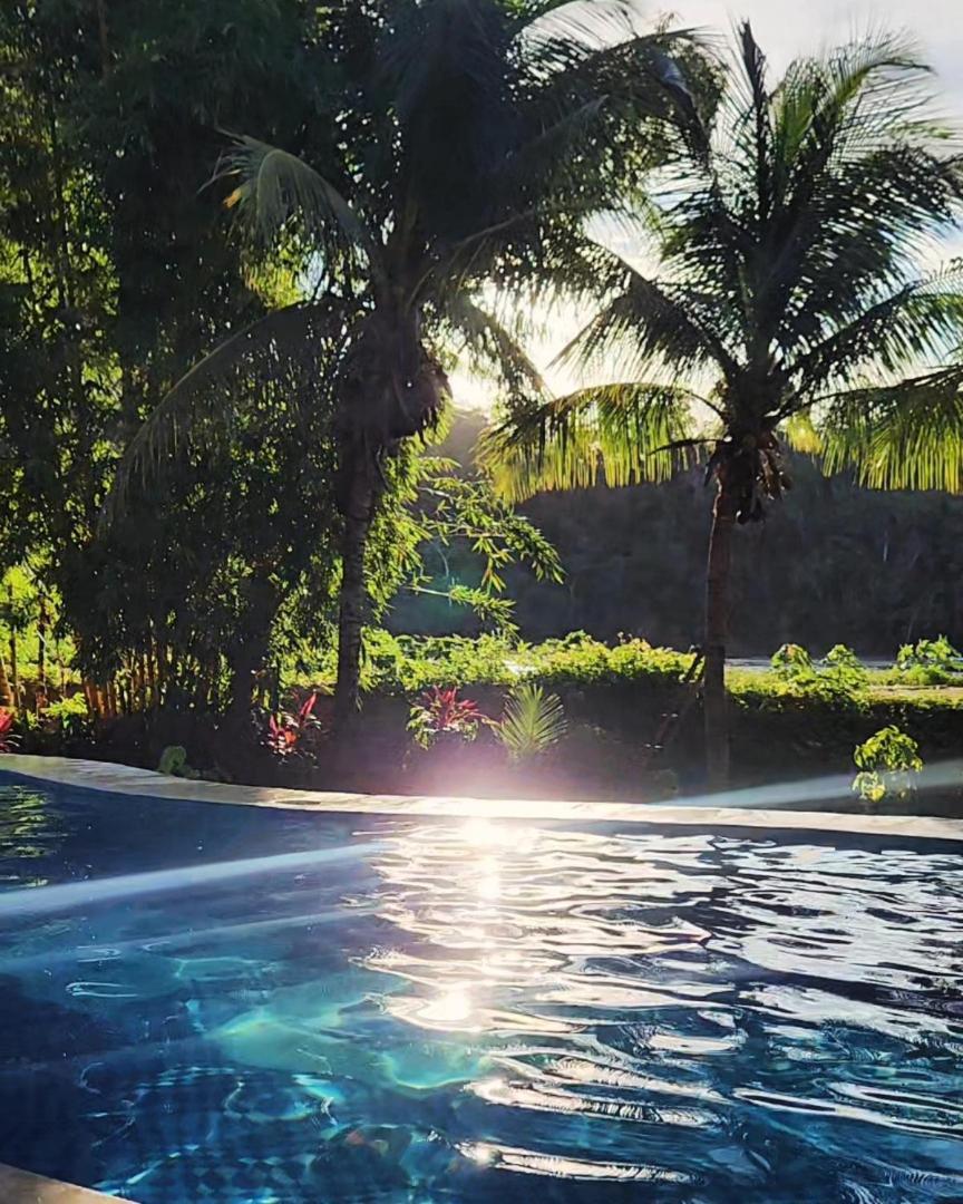 Lobo Hostel - Rurrenabaque (Adults Only) المظهر الخارجي الصورة