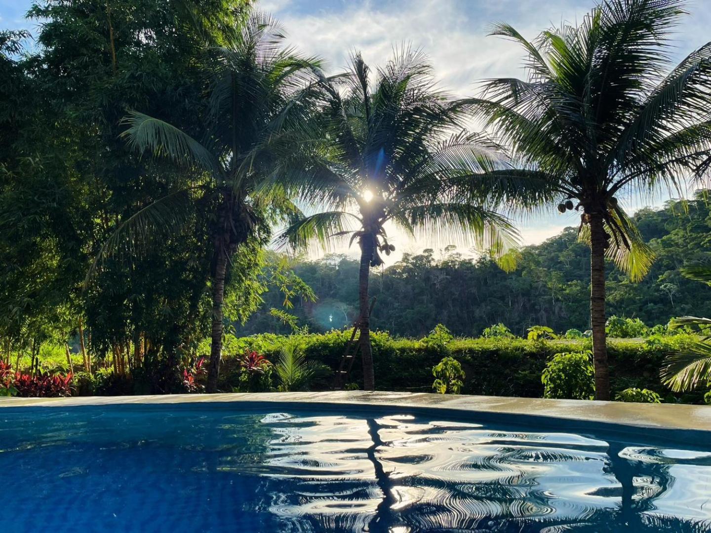 Lobo Hostel - Rurrenabaque (Adults Only) المظهر الخارجي الصورة