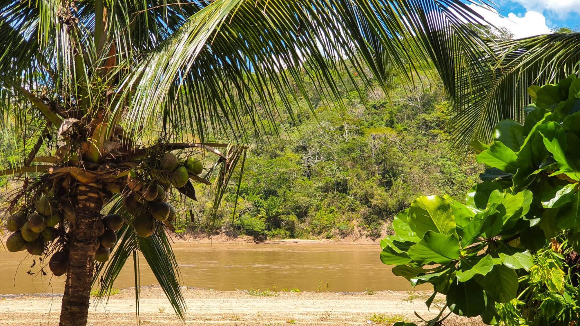 Lobo Hostel - Rurrenabaque (Adults Only) المظهر الخارجي الصورة