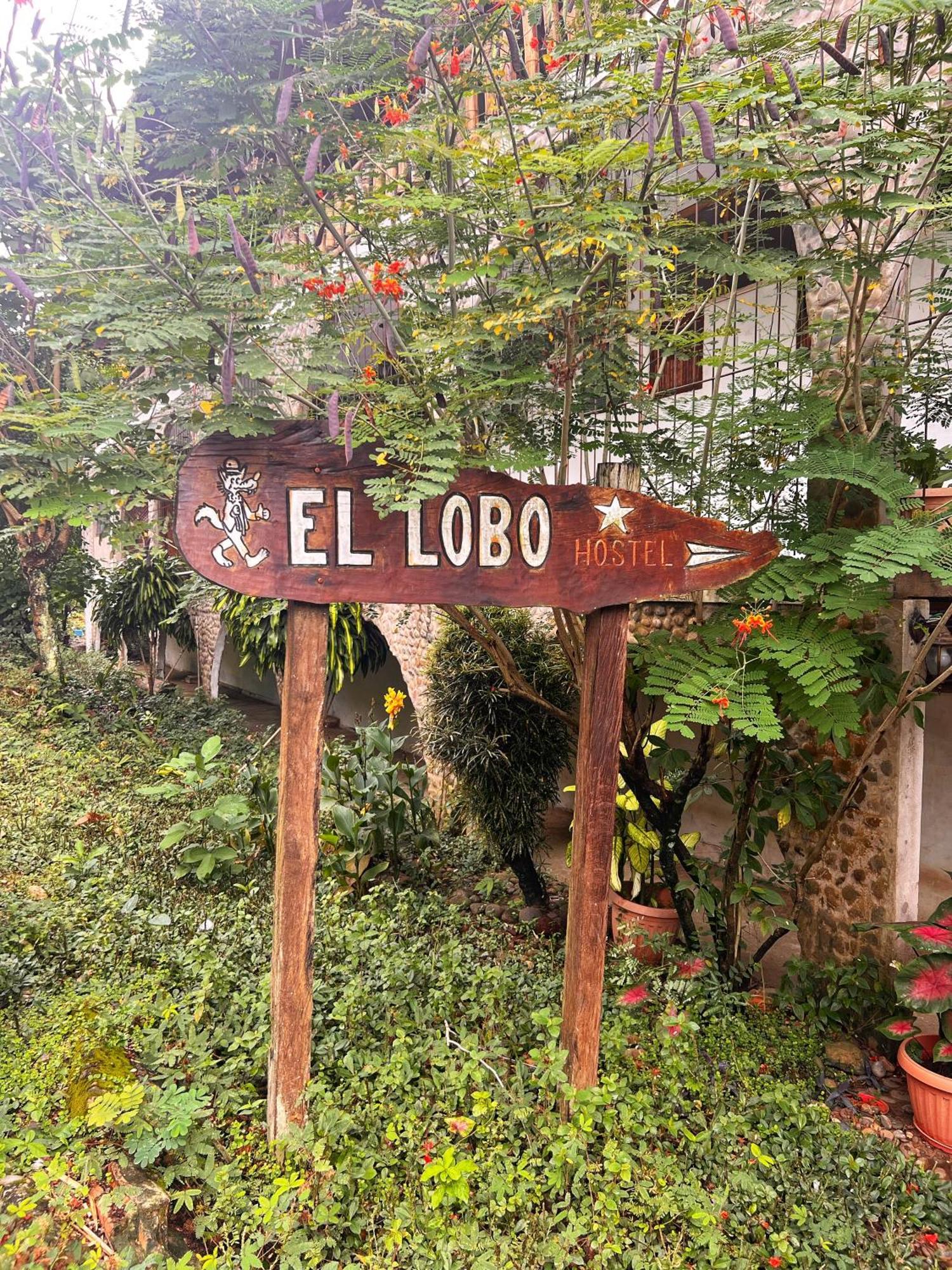 Lobo Hostel - Rurrenabaque (Adults Only) المظهر الخارجي الصورة