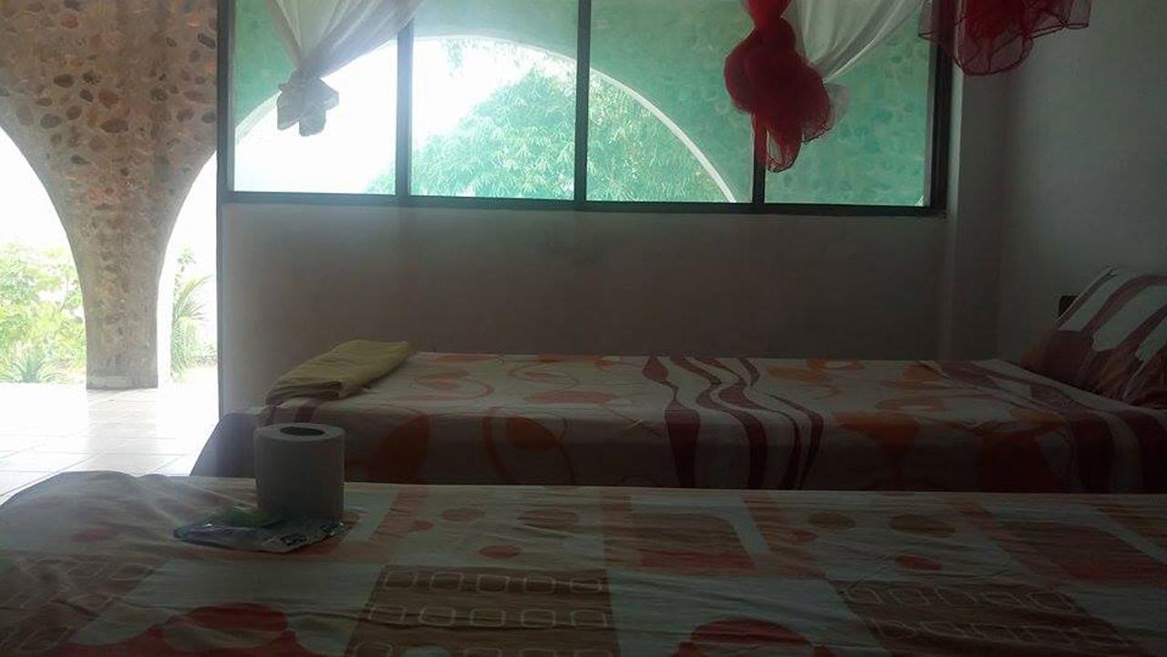 Lobo Hostel - Rurrenabaque (Adults Only) المظهر الخارجي الصورة