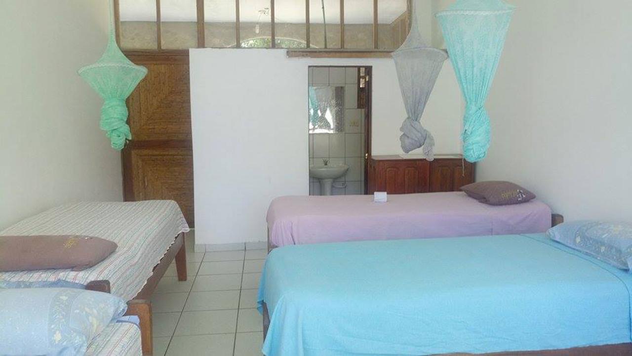 Lobo Hostel - Rurrenabaque (Adults Only) المظهر الخارجي الصورة